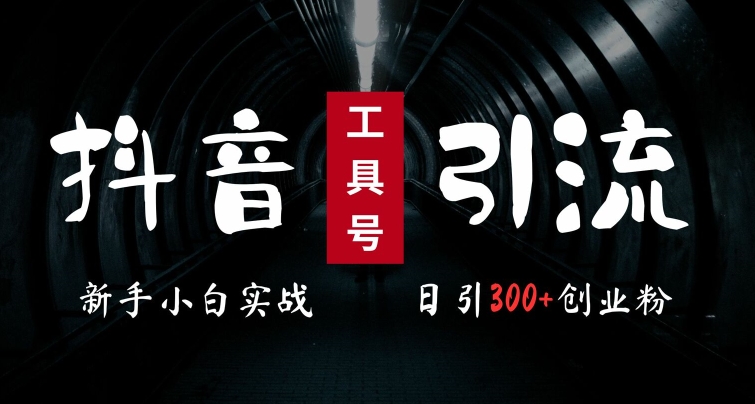 2024最新抖音工具号引流玩法，高效日引300+创业粉，当天变现5k，小白也可成为实战高手-雲鼎文化传媒
