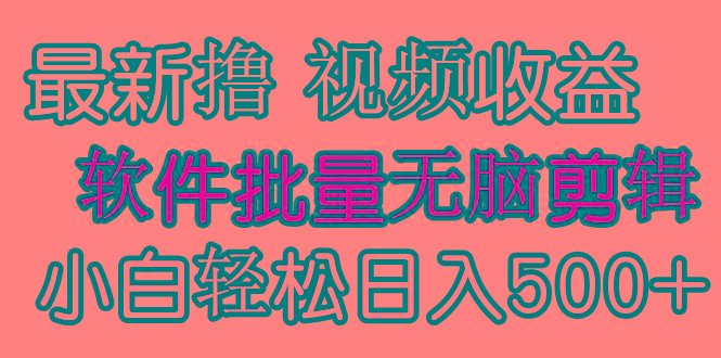 (9569期)发视频撸收益，软件无脑批量剪辑，第一天发第二天就有钱-雲鼎文化传媒
