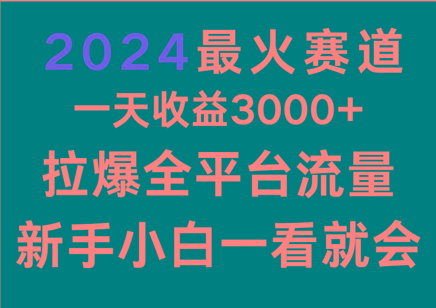 2024最火赛道，一天收一3000+.拉爆全平台流量，新手小白一看就会-雲鼎文化传媒