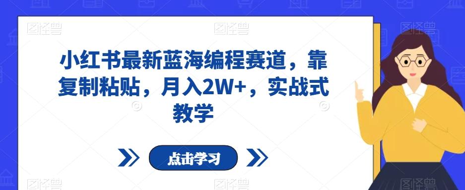 小红书最新蓝海编程赛道，靠复制粘贴，月入2W+，实战式教学【揭秘】-雲鼎文化传媒