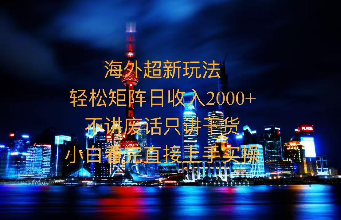 2025全新海外暴力玩法，操作简单，小白轻松上手-雲鼎文化传媒