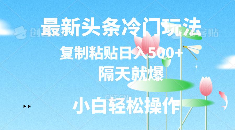 最新头条冷门玩法，隔天就爆，复制粘贴日入500+-雲鼎文化传媒