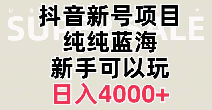 抖音蓝海赛道，必须是新账号，日入4000+【揭秘】-雲鼎文化传媒