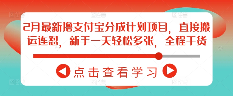 2月最新撸支付宝分成计划项目，直接搬运连怼，新手一天轻松多张，全程干货-雲鼎文化传媒