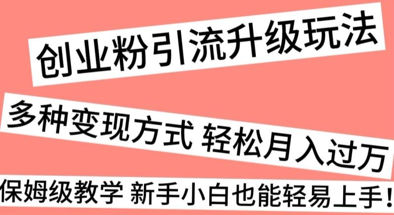 创业粉引流升级玩法，多种变现方式轻松月入过万，保姆级教学新手小白也能轻易上手！-雲鼎文化传媒