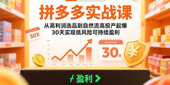拼多多实战课：从高利润选品到自然流高投产起爆 30天实现低风险可持续盈利-雲鼎文化传媒