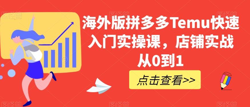 海外版拼多多Temu快速入门实操课，店铺实战从0到1-雲鼎文化传媒