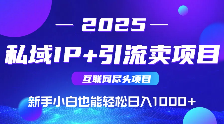 2025网创尽头项目，私域IP+引流，新手小白也能在家日入1000+-雲鼎文化传媒