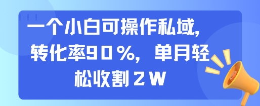 一个小白可操作私域，转化率90%，单月轻松收割2W-雲鼎文化传媒