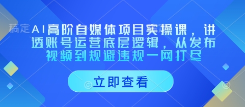 AI高阶自媒体项目实操课，讲透账号运营底层逻辑，从发布视频到规避违规一网打尽-雲鼎文化传媒