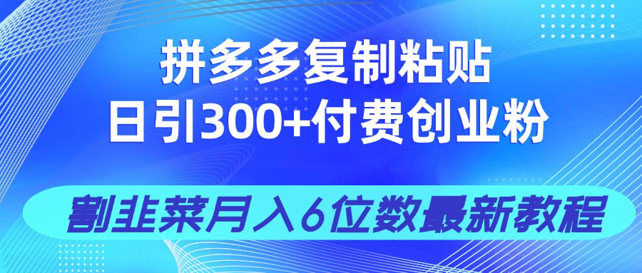拼多多复制粘贴日引300+付费创业粉，割韭菜月入6位数最新教程！-雲鼎文化传媒