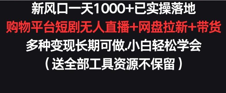新风口一天1000+已实操落地购物平台短剧无人直播+网盘拉新+带货多种变现长期可做【揭秘】-雲鼎文化传媒
