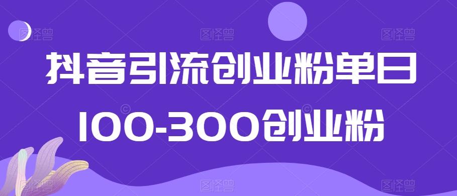 抖音引流创业粉单日100-300创业粉【揭秘】-雲鼎文化传媒