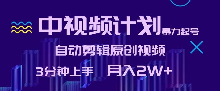 中视频计划暴力起号，自动剪辑原创视频，3分钟上手，月入2W+【揭秘】-雲鼎文化传媒