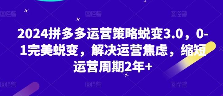 2024拼多多运营策略蜕变3.0，0-1完美蜕变，解决运营焦虑，缩短运营周期2年+-雲鼎文化传媒