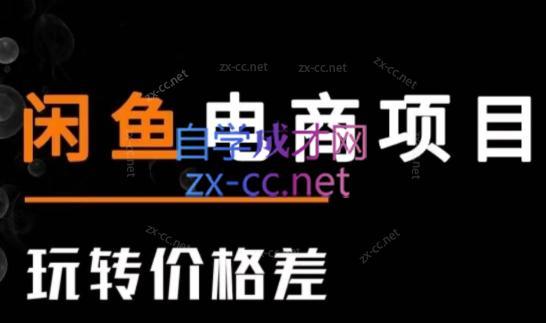 亿创繁星·闲鱼电商项目(玩转价格差)-雲鼎文化传媒