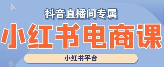 小红书电商高级运营课程，实操教学+案例分析-雲鼎文化传媒
