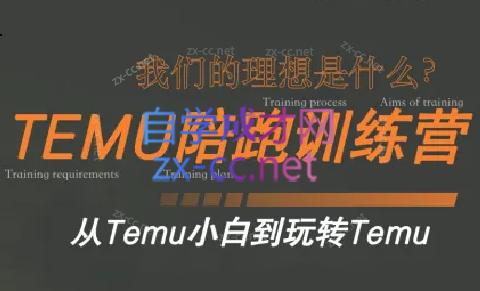 苗苗·拼多多跨境（temu）课程-雲鼎文化传媒