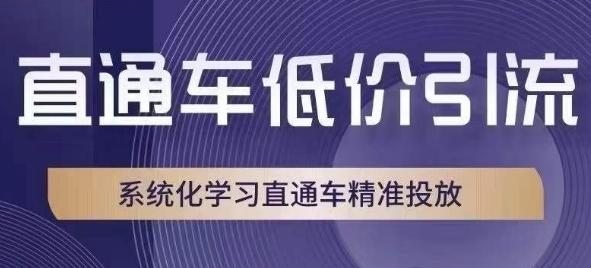 直通车低价引流课，系统化学习直通车精准投放-雲鼎文化传媒