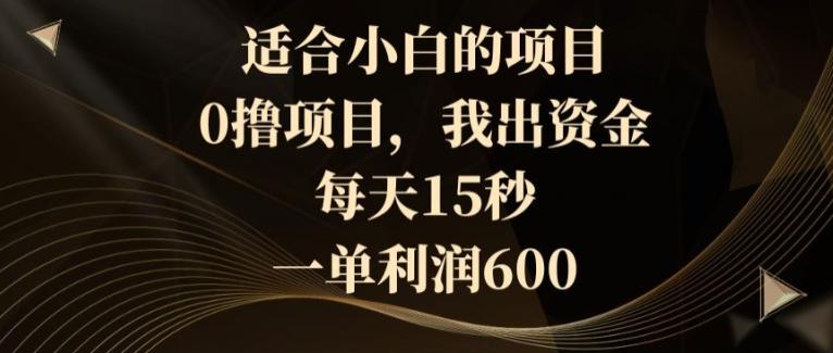 适合小白的项目，0撸项目，我出资金，每天15秒，一单利润600-雲鼎文化传媒
