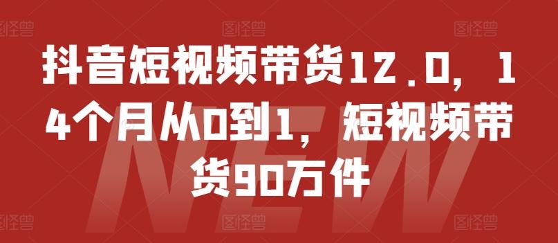 抖音短视频带货12.0，14个月从0到1，短视频带货90万件-雲鼎文化传媒