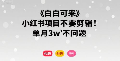 小白可来 小红书项目不需要剪辑 单月3w不是问题-雲鼎文化传媒