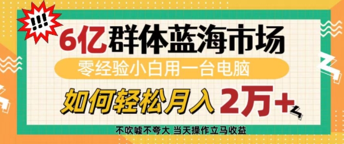 6亿群体蓝海市场，零经验小白用一台电脑，如何轻松月入过w【揭秘】-雲鼎文化传媒