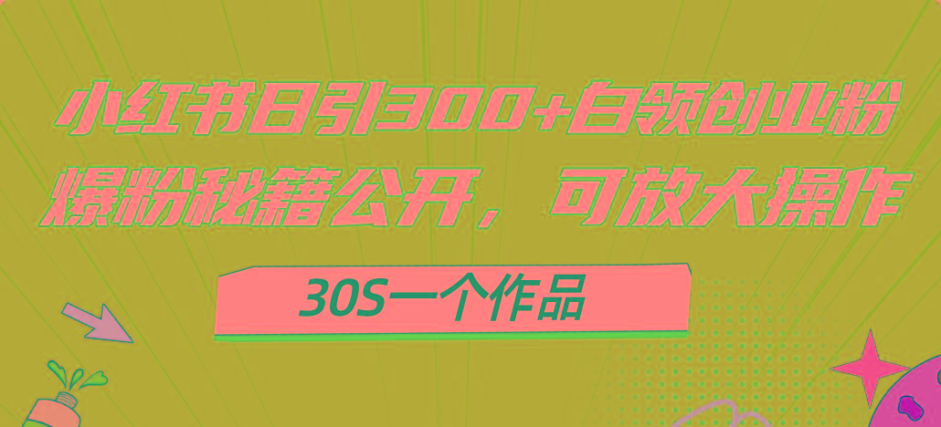 小红书日引300+高质白领创业粉，可放大操作，爆粉秘籍！30s一个作品-雲鼎文化传媒