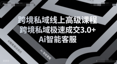 跨境私域线上高级课程，跨境私域极速成交3.0+Ai智能客服-雲鼎文化传媒