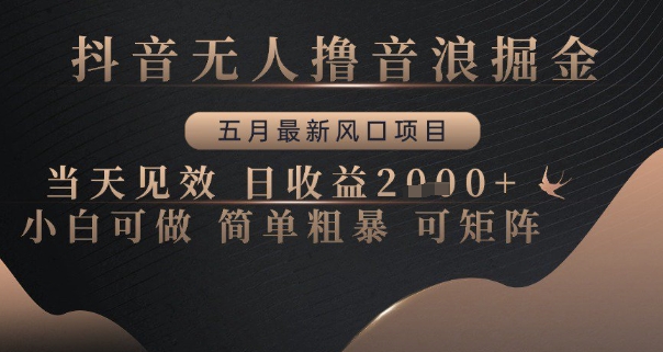 抖音无人撸音浪掘金，五月最新风口项目，当天见效，日收益多张，小白可做简单粗暴可矩阵【揭秘】-雲鼎文化传媒