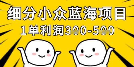 细分小众蓝海项目，一单利润3张，每月收入稳定过1w+-雲鼎文化传媒