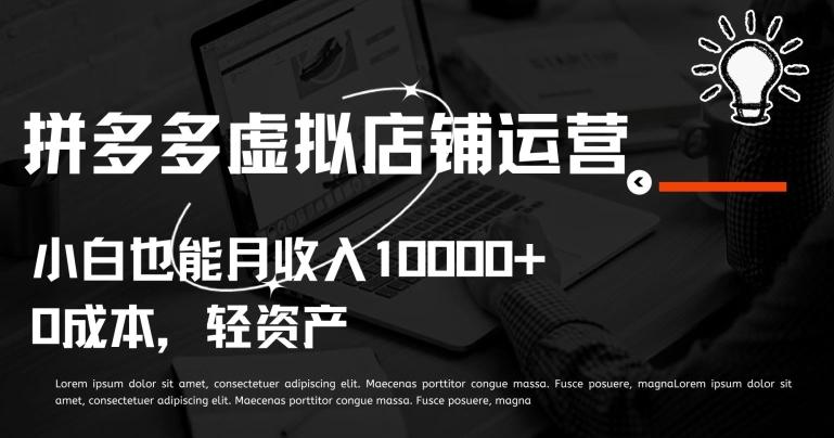 拼多多虚拟店铺运营小白也能月收入10000+【揭秘】-雲鼎文化传媒