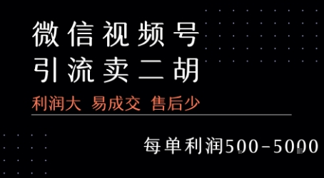 视频号卖二胡教程，利润大 易成交 售后少，一单利润5张+-雲鼎文化传媒