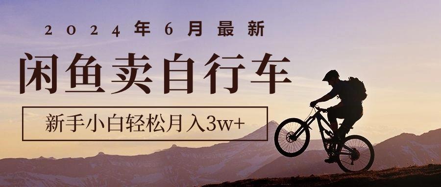 2024年6月最新闲鱼卖自行车，新手小白轻松月入3w+项目-雲鼎文化传媒