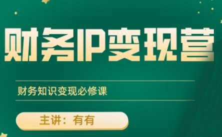 有有老师·财务IP变现营，财务知识变现必修课-雲鼎文化传媒