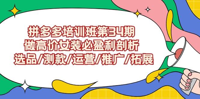 (9333期)拼多多培训班第34期：做高价女装必盈利剖析  选品/测款/运营/推广/拓展-雲鼎文化传媒