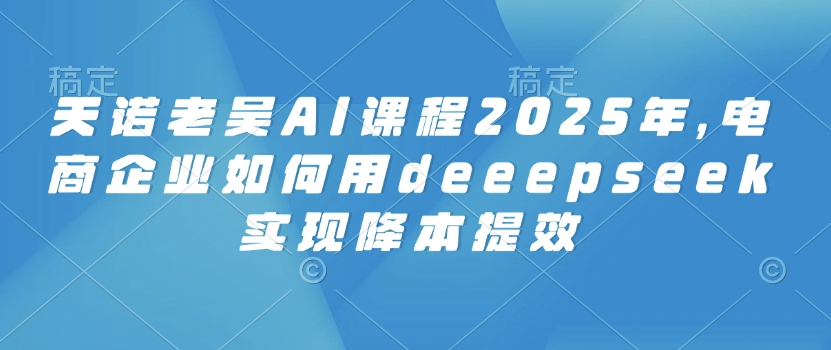 天诺老吴AI课程2025年，电商企业如何用deeepseek实现降本提效-雲鼎文化传媒