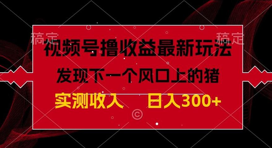 视频号分成计划最新玩法，单条作品几分钟制作完成,日入300+，过年前最后的冲刺-雲鼎文化传媒