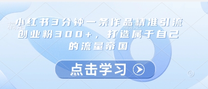 小红书3分钟一条作品精准引流创业粉300+，打造属于自己的流量帝国-雲鼎文化传媒