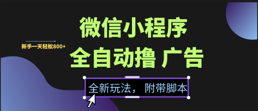微信小程序全自动撸广告项目，彻底解决没流量的问题，新手一天8张+【揭秘】-雲鼎文化传媒