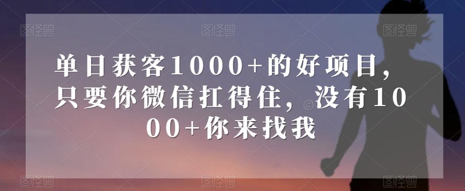 单日获客1000+的好项目，只要你微信扛得住，没有1000+你来找我【揭秘】-雲鼎文化传媒