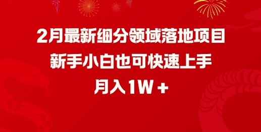 2月最新细分领域落地项目，新手小白也可快速上手，月入1W-雲鼎文化传媒