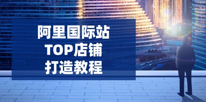 阿里国际站TOP店铺打造教程：涵盖平台到高阶，解决运营难题，提升询盘-雲鼎文化传媒