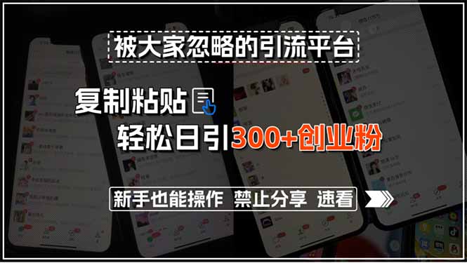 被大家忽略的引流平台，复制粘贴轻松日引300+创业粉，新手也能操作，禁…-雲鼎文化传媒