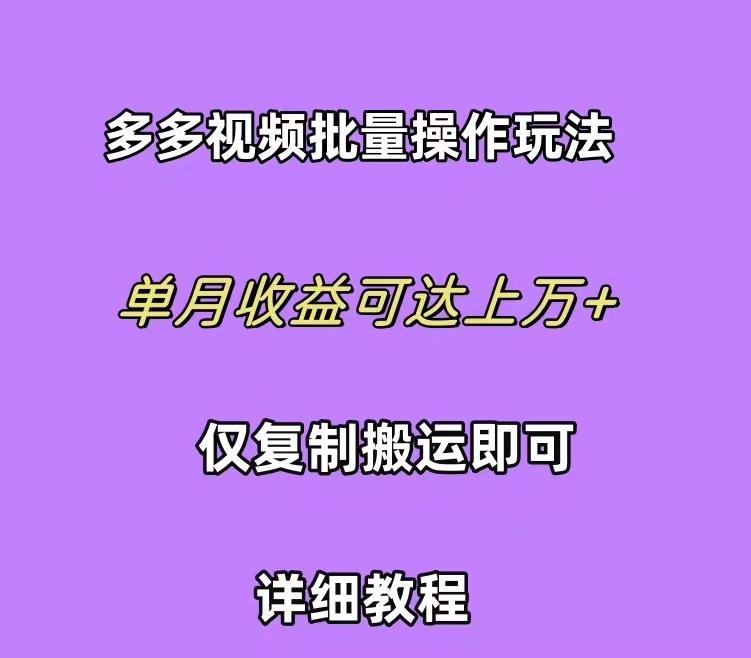 (10029期)拼多多视频带货快速过爆款选品教程 每天轻轻松松赚取三位数佣金 小白必…-雲鼎文化传媒