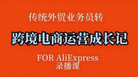 跨境电商速卖通运营课，​运营方法论+后台实操，逻辑清晰-雲鼎文化传媒
