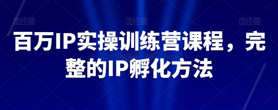 百万IP实操训练营课程，完整的IP孵化方法-雲鼎文化传媒