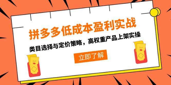 拼多多低成本盈利实战，类目选择与定价策略，高权重产品上架实操-雲鼎文化传媒