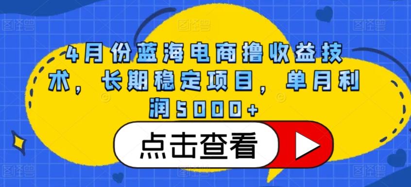 4月份蓝海电商撸收益技术，长期稳定项目，单月利润5000+【揭秘】-雲鼎文化传媒