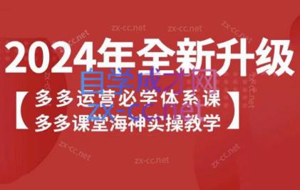海神老师·拼多多运营必学体系课-雲鼎文化传媒